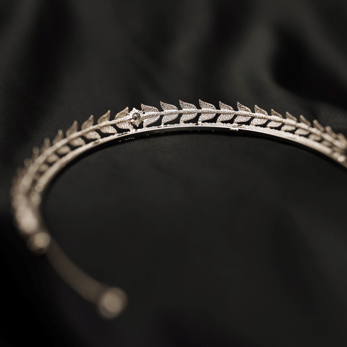 Michaela's Tiara