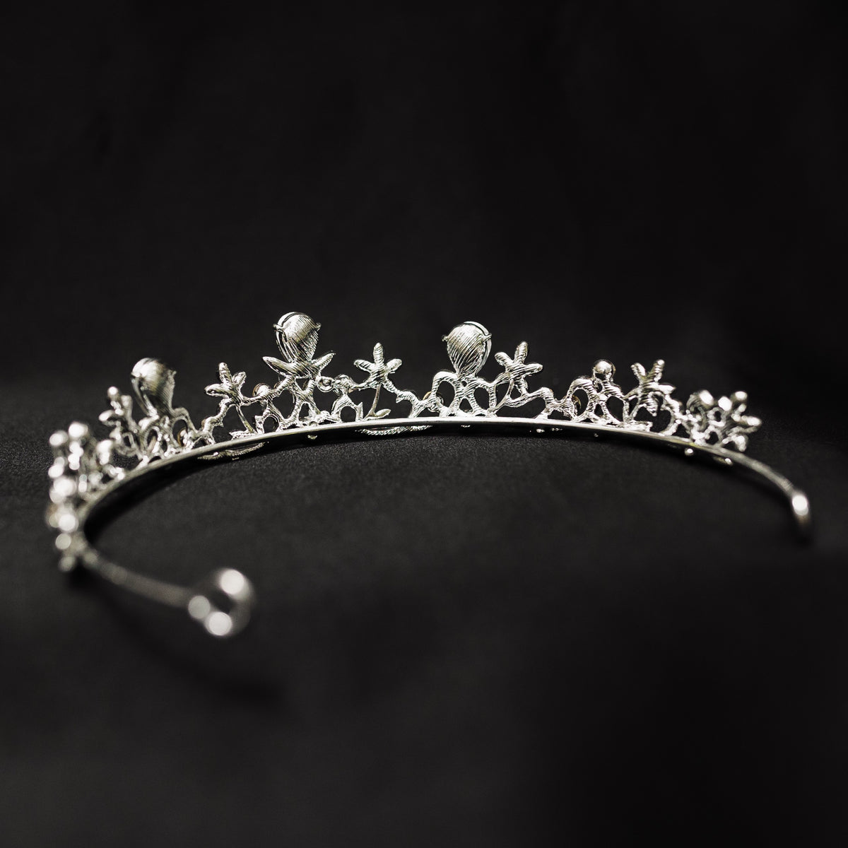 Molly's Tiara in Silver