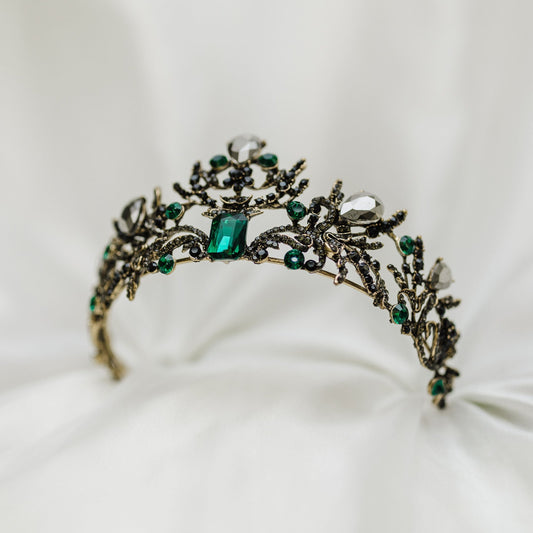 Danielle's Tiara