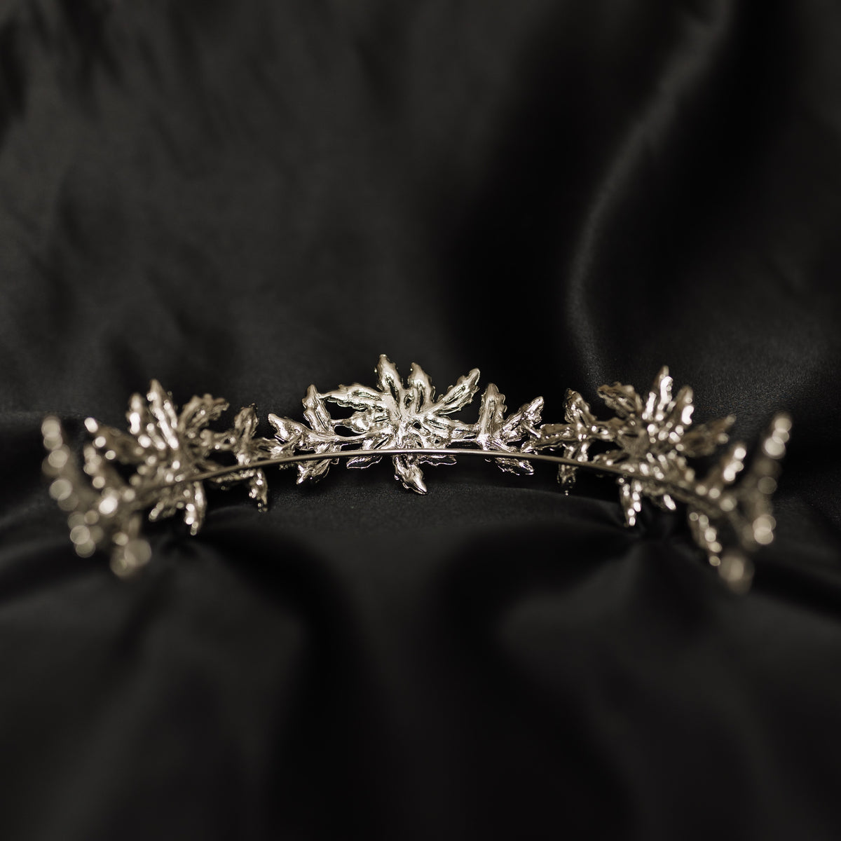 Sophia's Tiara