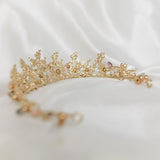 Beth's Tiara