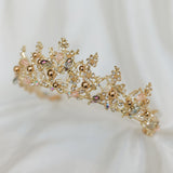 Beth's Tiara