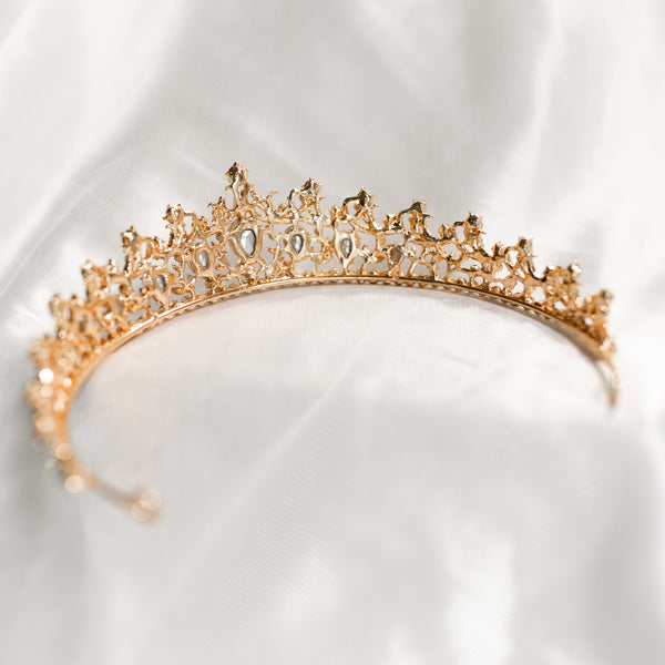 Finley’s Tiara in Pink & Gold