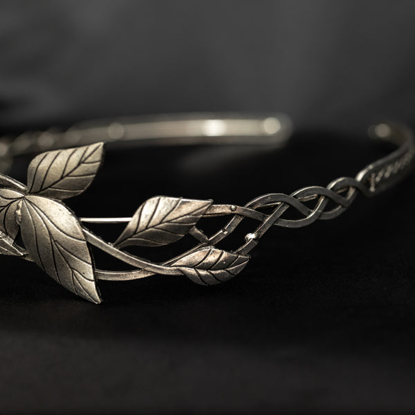 Hugo's Crown in Silver