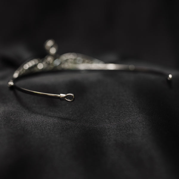 Lily's Tiara