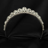 Sandy’s Tiara in Silver