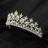 Sandy’s Tiara in Silver