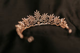 Petra's Tiara in Pink