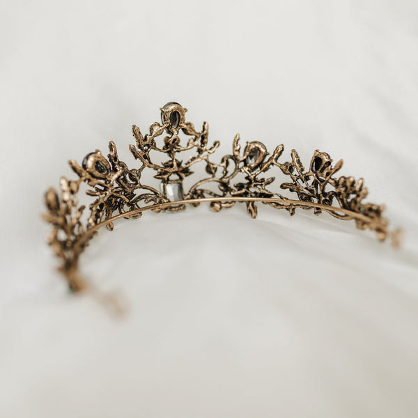 Danielle's Tiara
