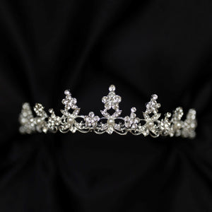 Amber's Tiara in Silver
