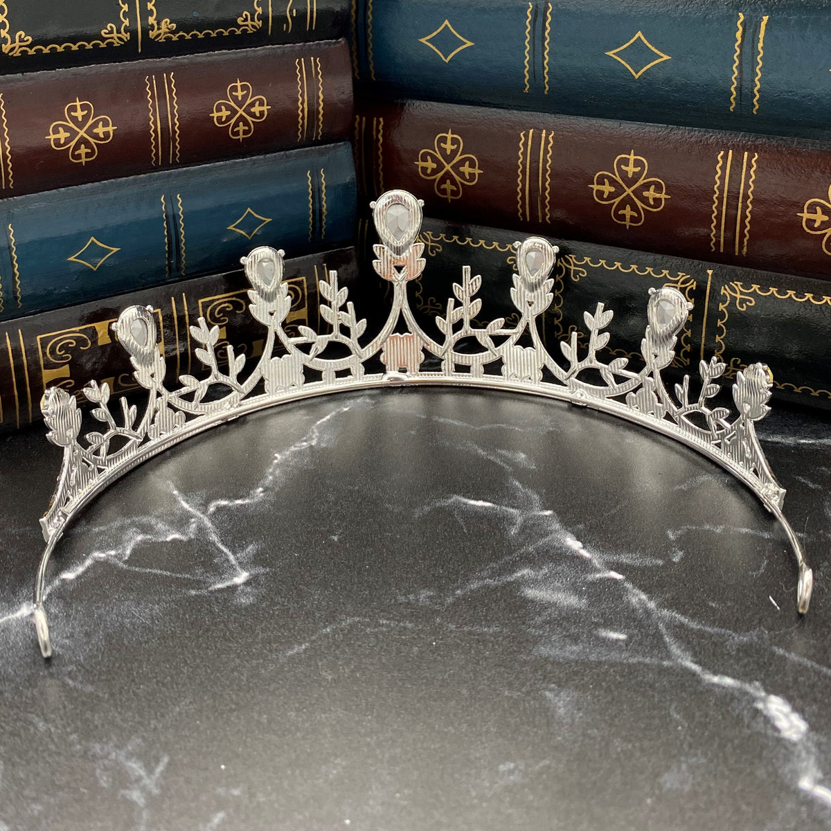 Bianca's Tiara in Silver