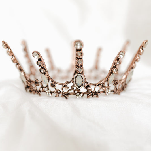 Daisy’s Crown