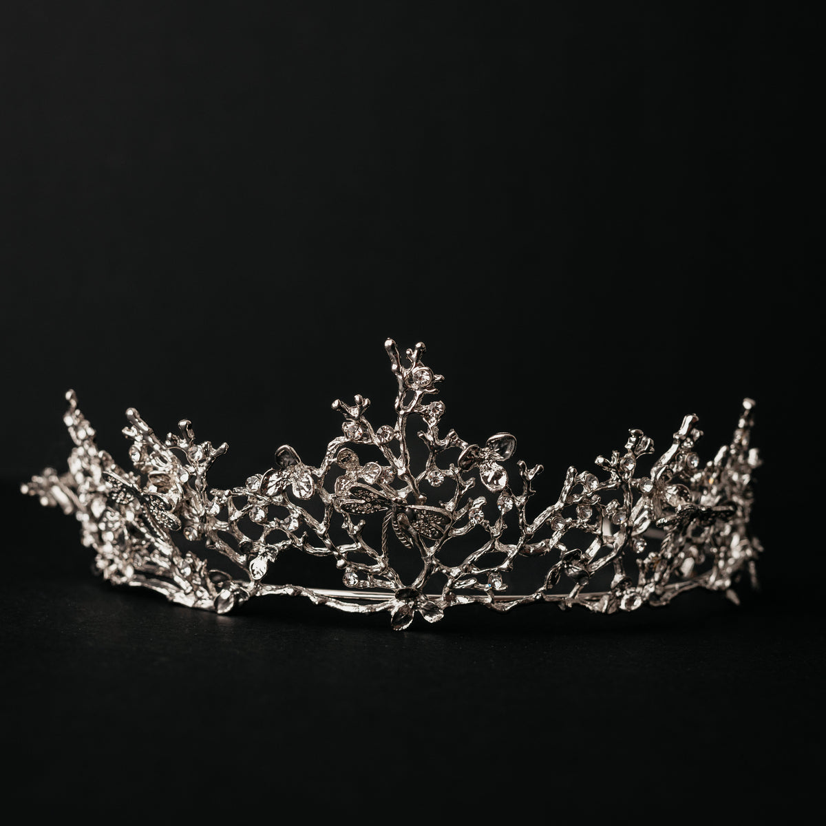 Verna's Tiara in Silver