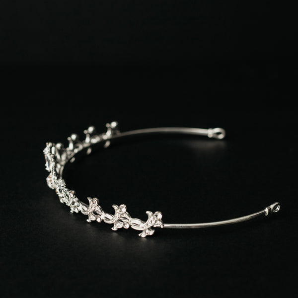 Rebecca's Tiara