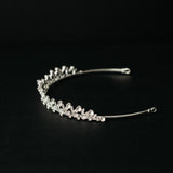 Emily's Tiara