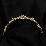 Roma's Tiara