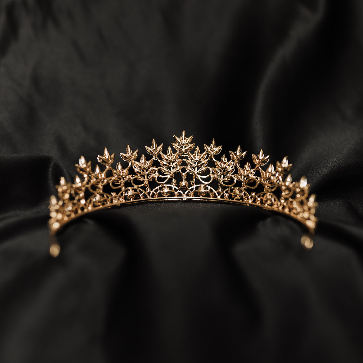 Sandy’s Tiara in Gold