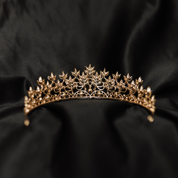 Sandy’s Tiara in Gold