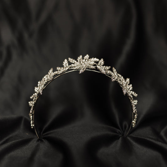 Sophia's Tiara
