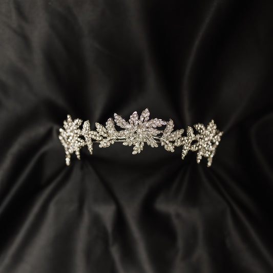 Sophia's Tiara