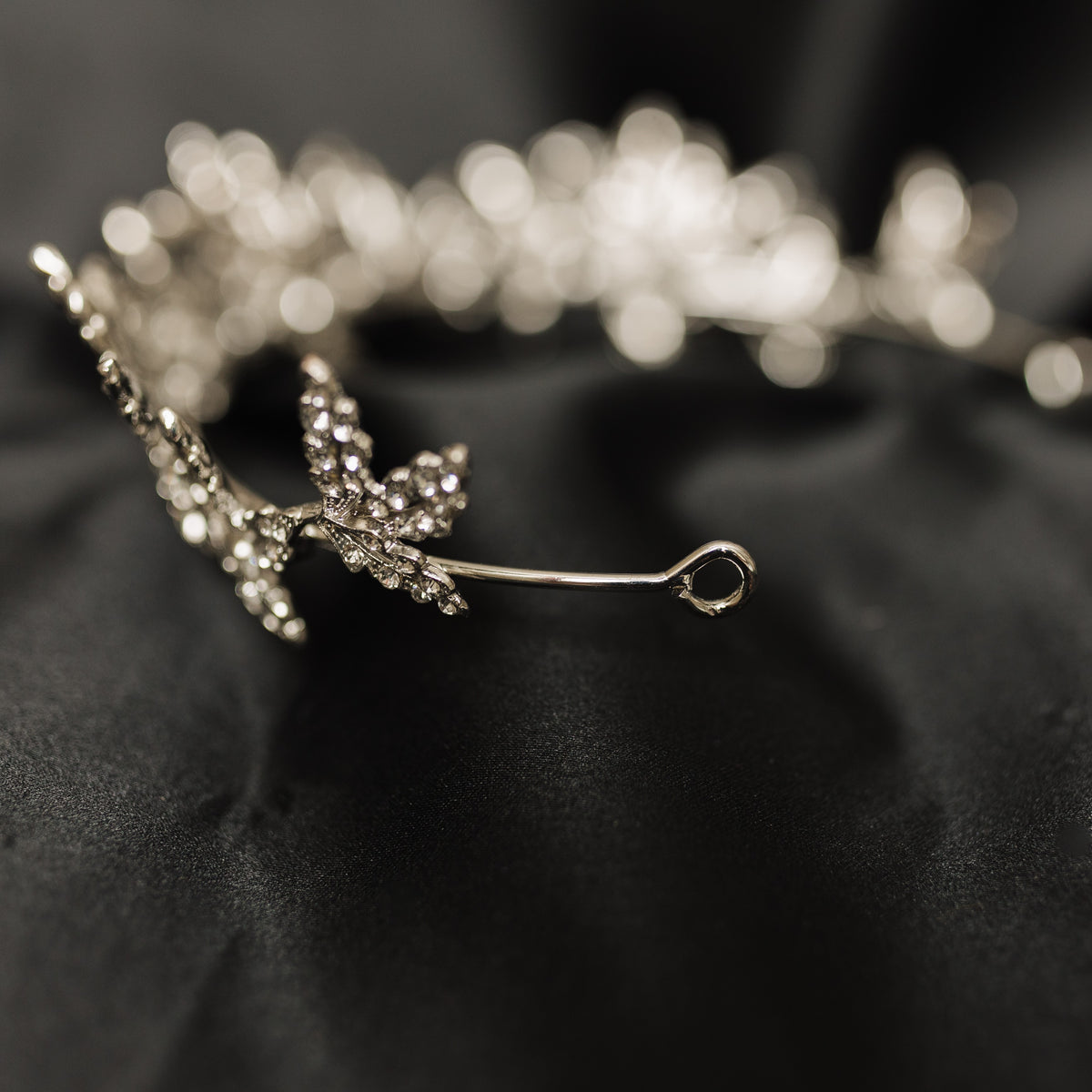 Sophia's Tiara