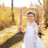 Verna's Butterfly Tiara in Silver - Modeled