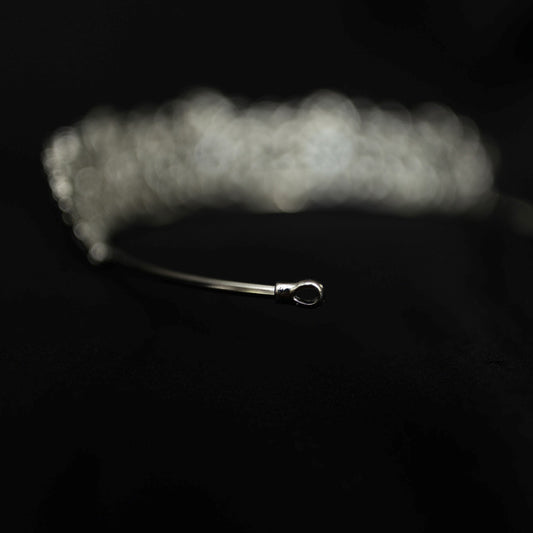 Benjamina in Silver