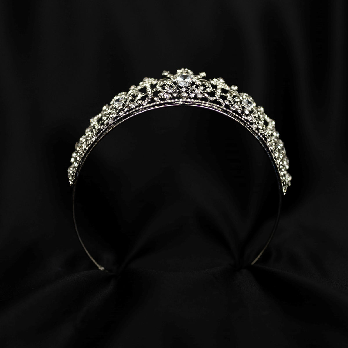 Benjamina in Silver